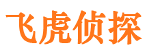 简阳市私家侦探